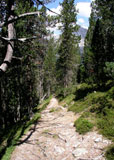 Abstieg von Alp Schera
