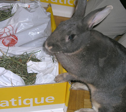 Parcel with Hay