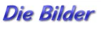 Die Bilder