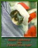 Weihnachtskarte