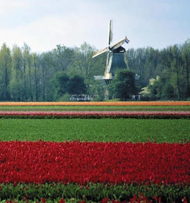 Holland