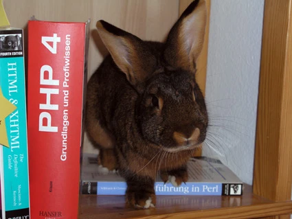 Webmaster