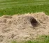 Päckchen mit Heu