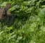 What's up, Doc?!