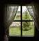 Curtain