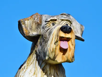 Schnüffel