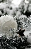 Weihnachtskarte