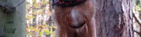 Meine Bilder