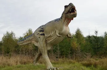 Rex