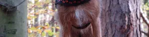 Meine Bilder