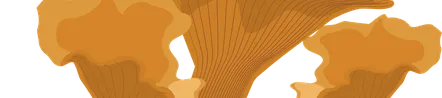 Logo auf hellgelben Grund mit Text