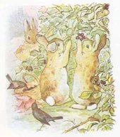 Beatrix Potter