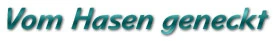 Vom Hasen geneckt