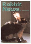 Rabbit News