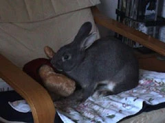 Tango mit Rudi