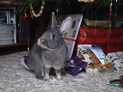 Weihnachten 2002