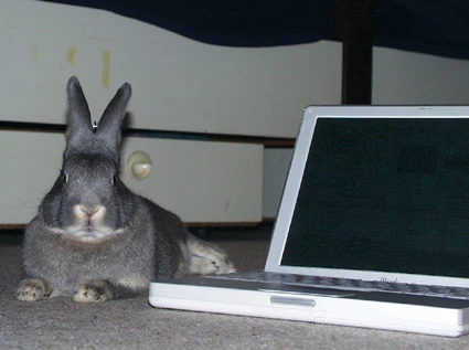 Controlling the homepage