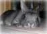 Sleeping