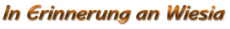 News aus dem kaninchen-net