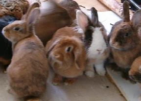 Familienphoto