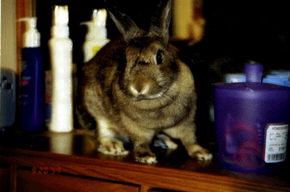 Tilly