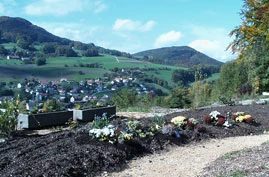 Der Friedhof