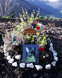 Das Grab von Zosia