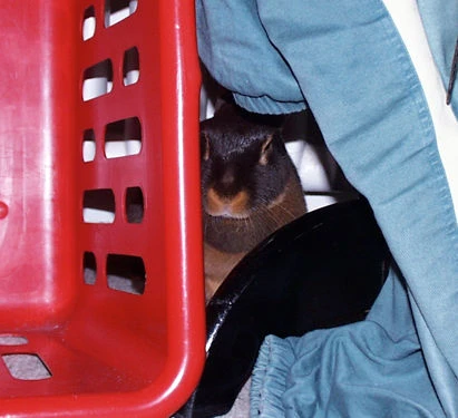 Mein liebstes Versteck