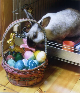 Easter