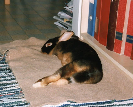 Sleeping