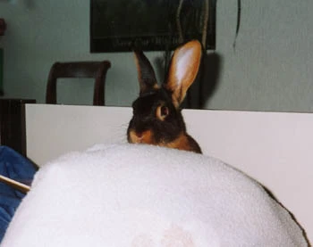 Hallo, hier bin ich!